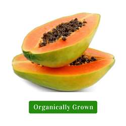 Organic Papaya Large (Approx 1.2kg-2kg)
